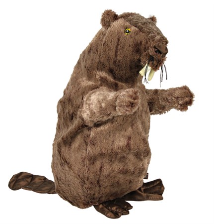 Bäver, 40 cm